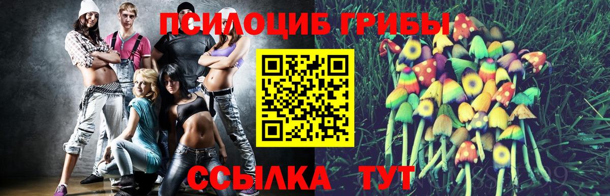 Псилоцибиновые грибы ЛСД  Вход с VPN  Каменск-Шахтинский 
